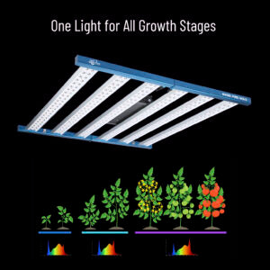 HortiSpectra B600 PRO MAX | Professionelle 600W LED Grow Lampe | Vollspektrum | Bis zu 720W Systemleistung | 3,15 µmol/J | VEG & BLOOM