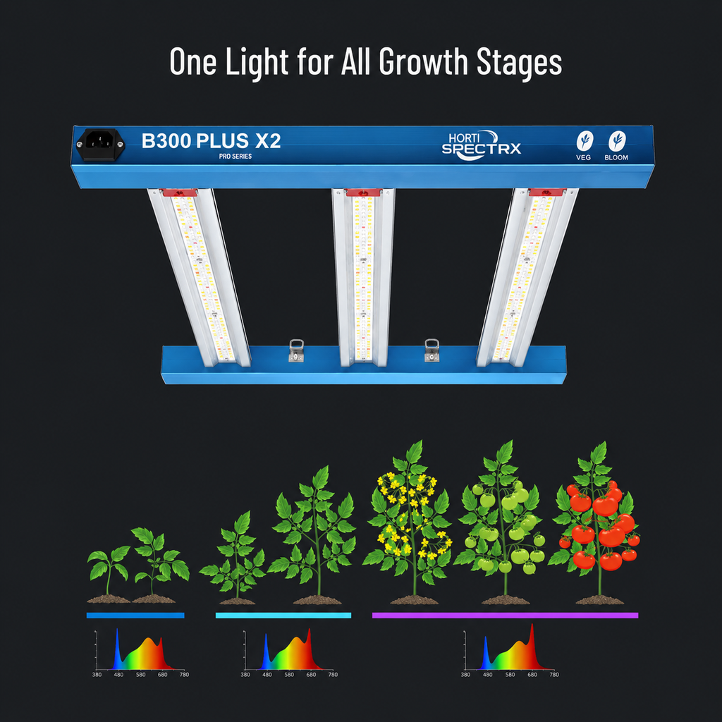 HortiSpectra B300 PLUS X2 – Professionelle 300W LED Pflanzenlampe