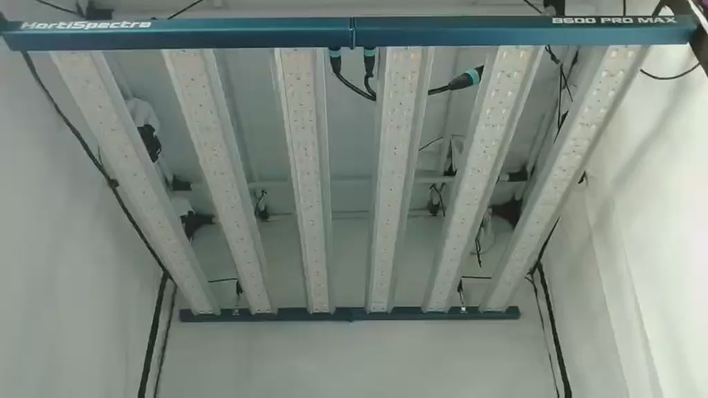 HortiSpectra B600 PRO MAX | Professionelle 600W LED Grow Lampe | Vollspektrum | Bis zu 720W Systemleistung | 3,15 µmol/J | VEG & BLOOM